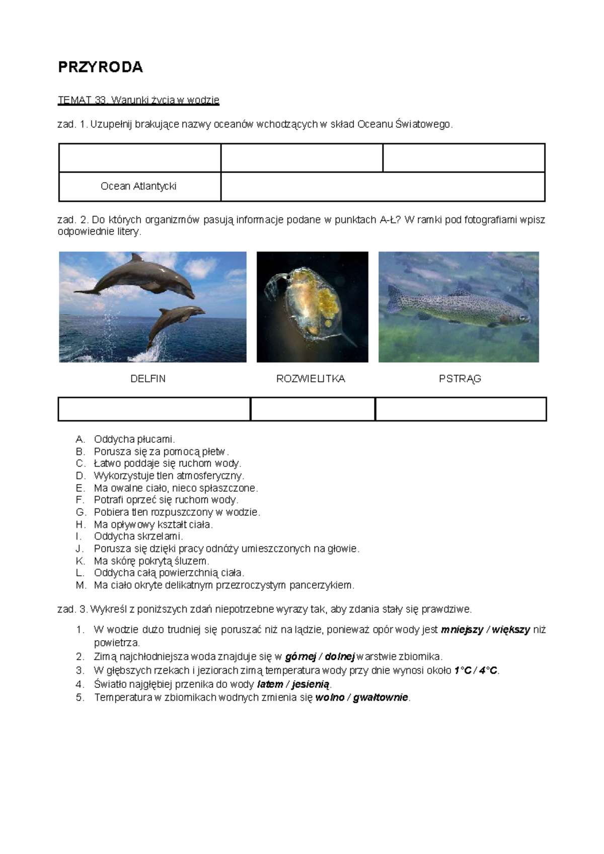 63141364961 main image 0