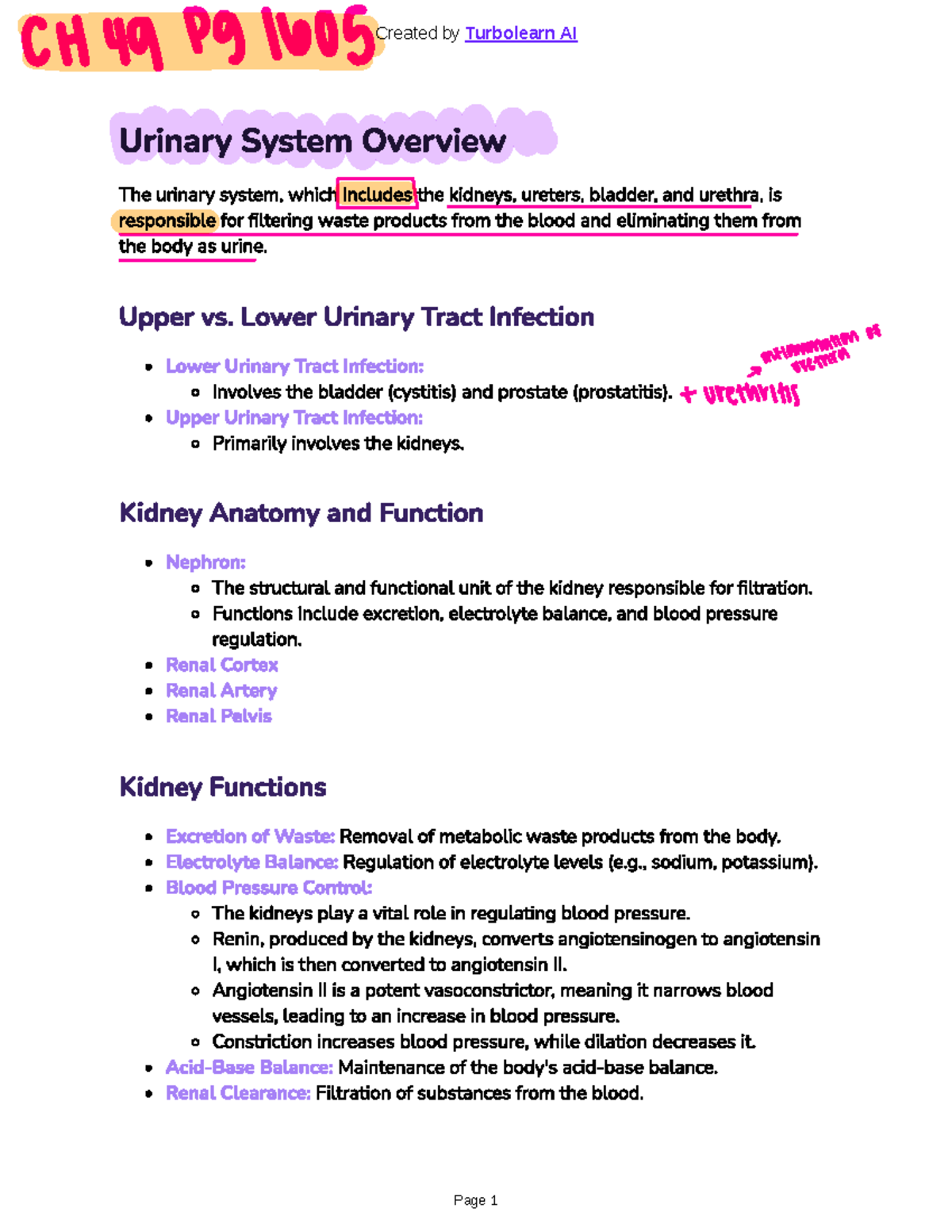 CH49 UTI Pathophysiology and Treatment Notes - Nursing Course - CH49 PG ...