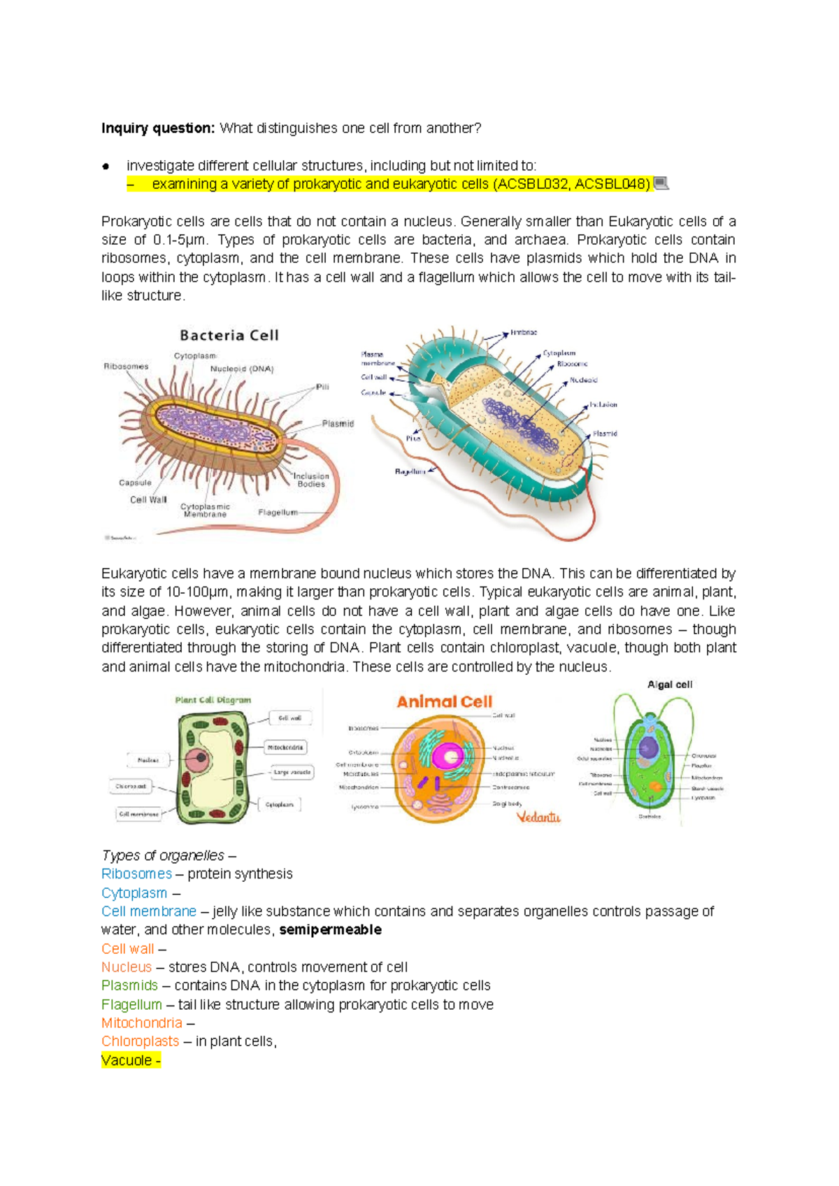 BIO Module 1: Distinguishing Prokaryotic & Eukaryotic Cells - Studocu