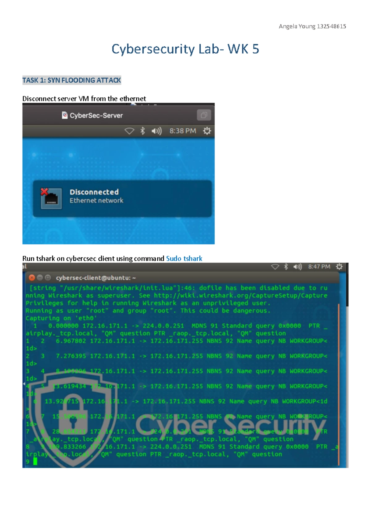 Week 5 Lab 4: Exploring TCP/IP Attacks and Security Vulnerabilities ...
