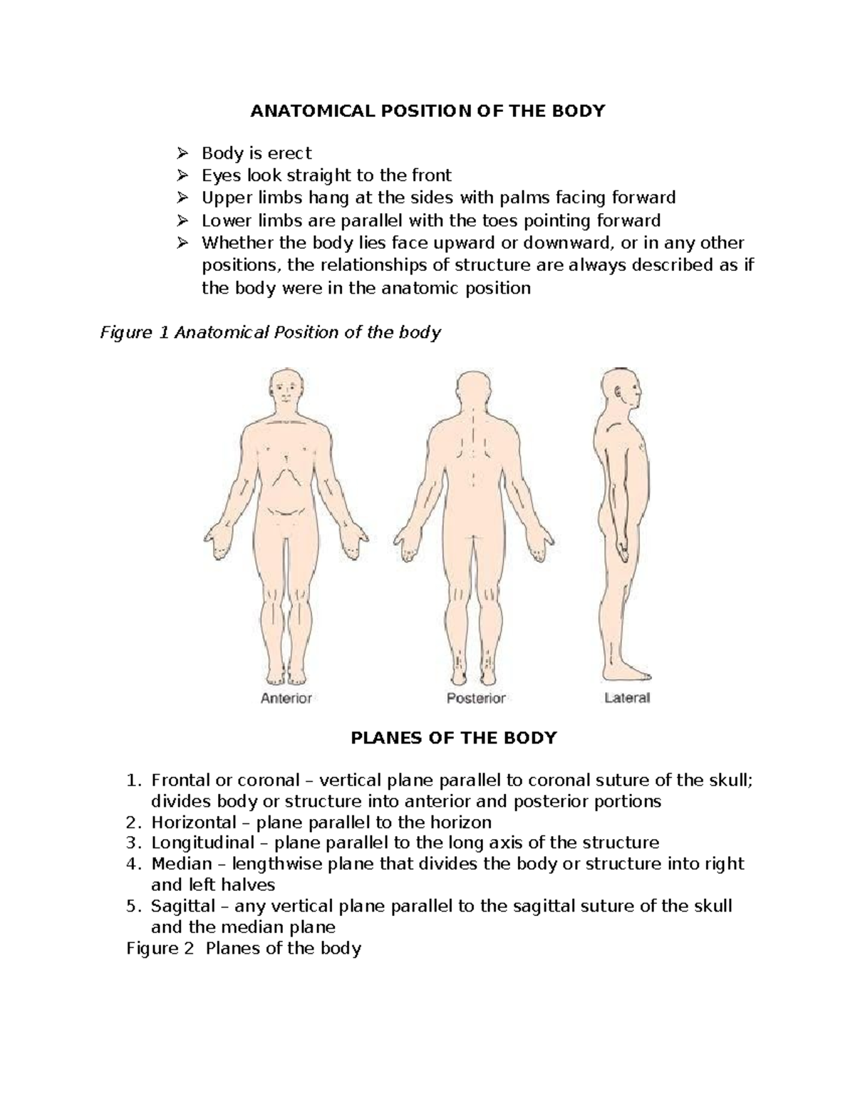 Chapter 2 BODY Structures - ANATOMICAL POSITION OF THE BODY Body is ...