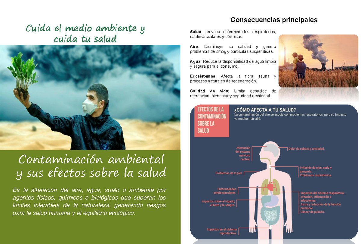 capacitaci-n-contaminaci-n-ambiental-y-efectos-en-la-salud-studocu