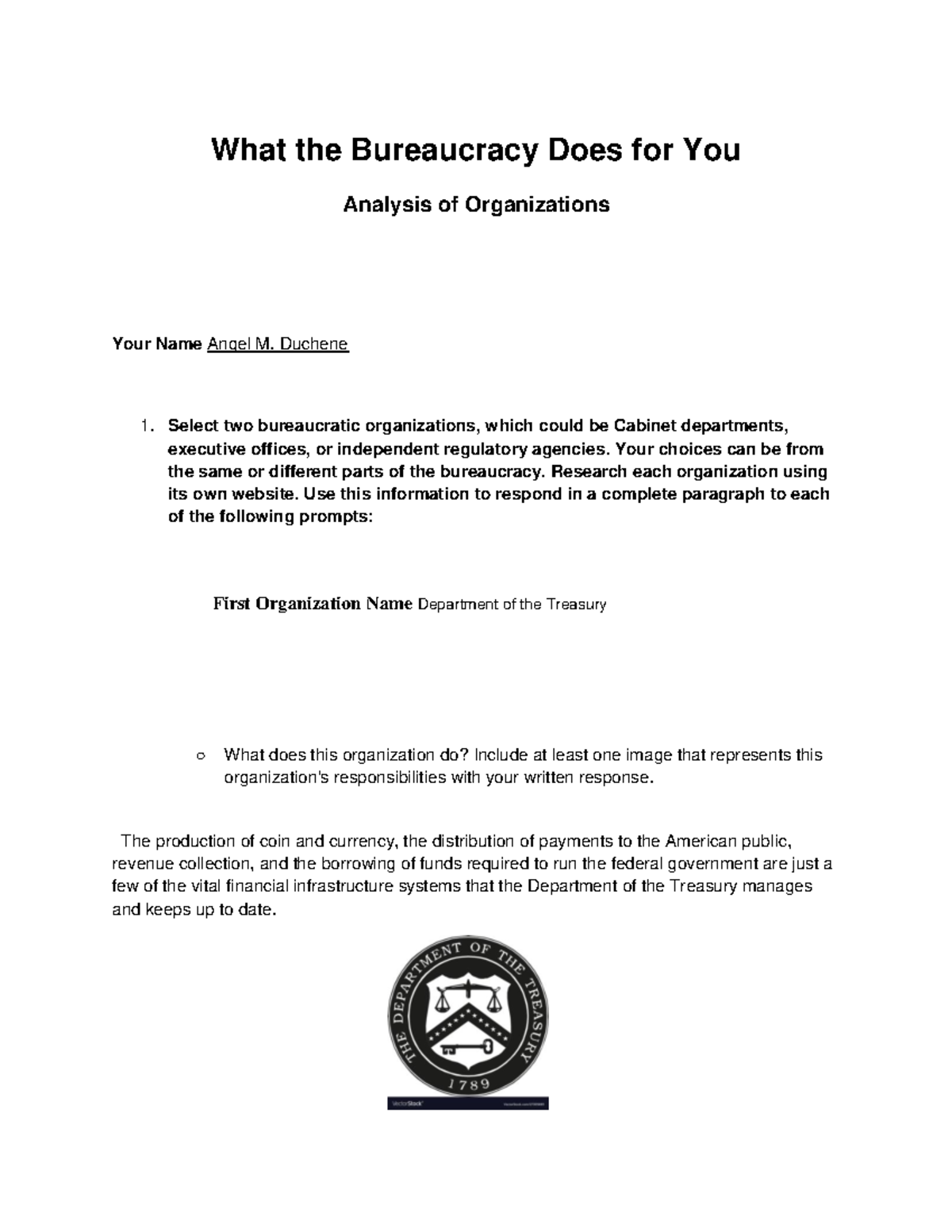 US GOV V23: Bureaucratic Organizations Analysis Assignment Template ...