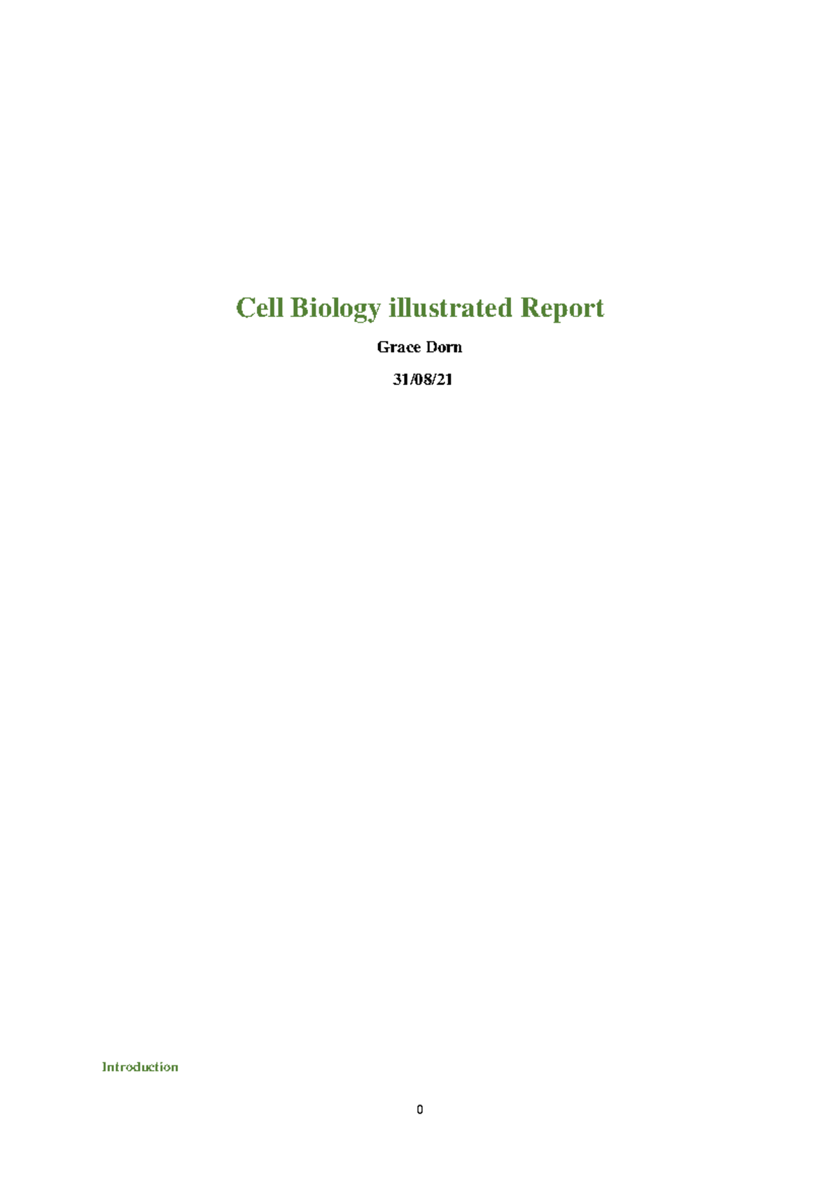 Illustrated Report Example