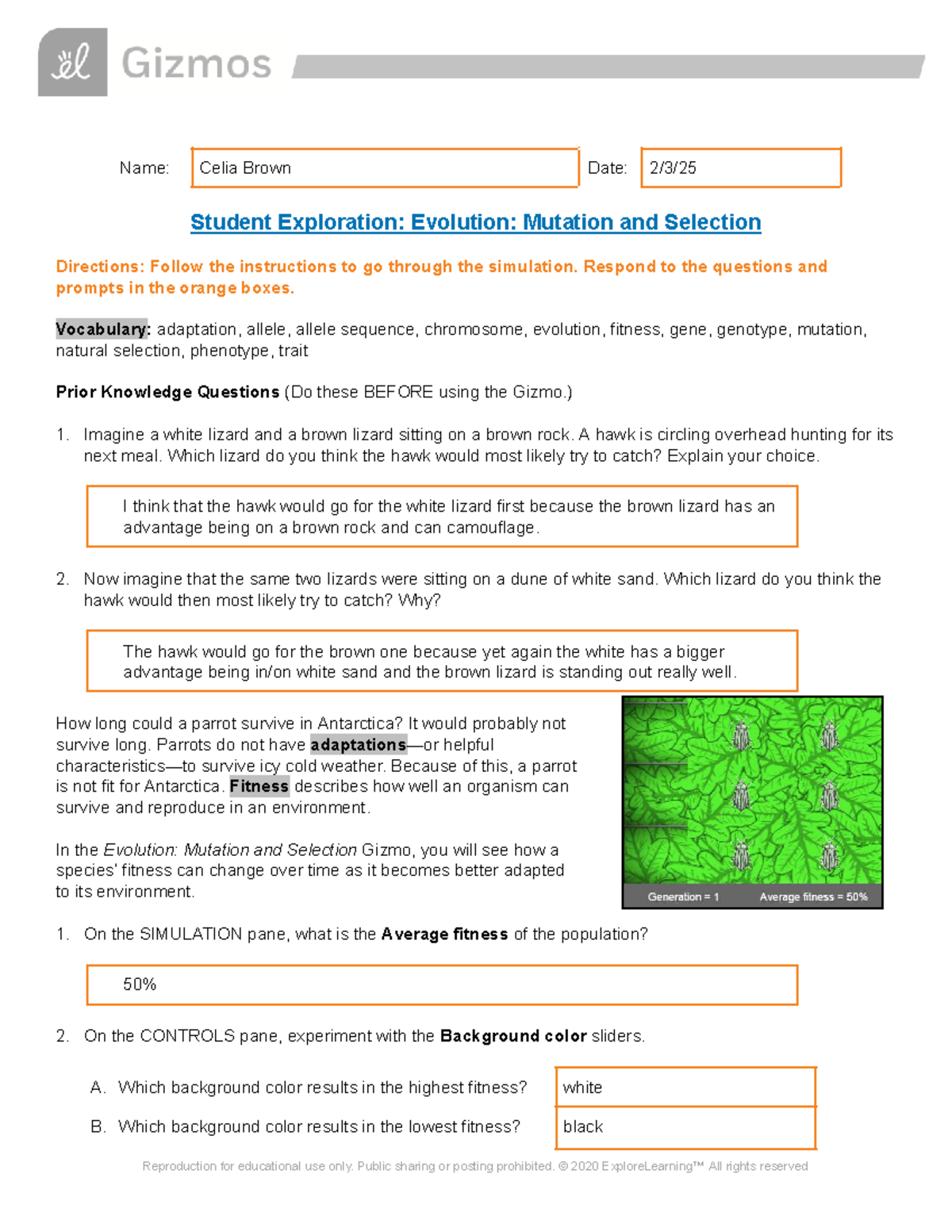 Evolution: Mutation and Selection Simulation Guide (SE) - Studocu