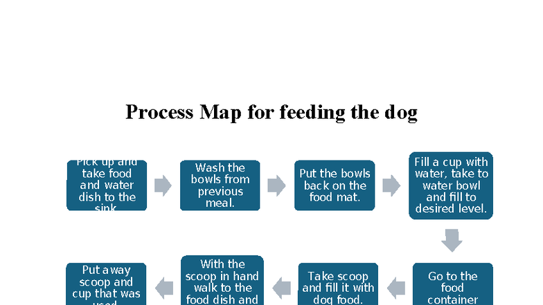 Process Map Assignment: Daily Routines for Dog and Kids - Studocu