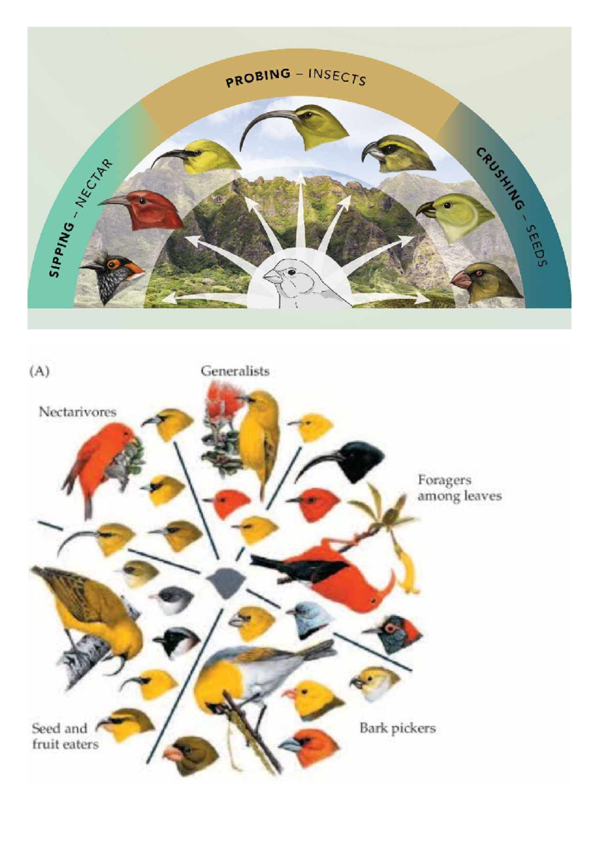 Untitled-design 20240317 224535 0000 - PHYSICAL SCIENCE - Studocu