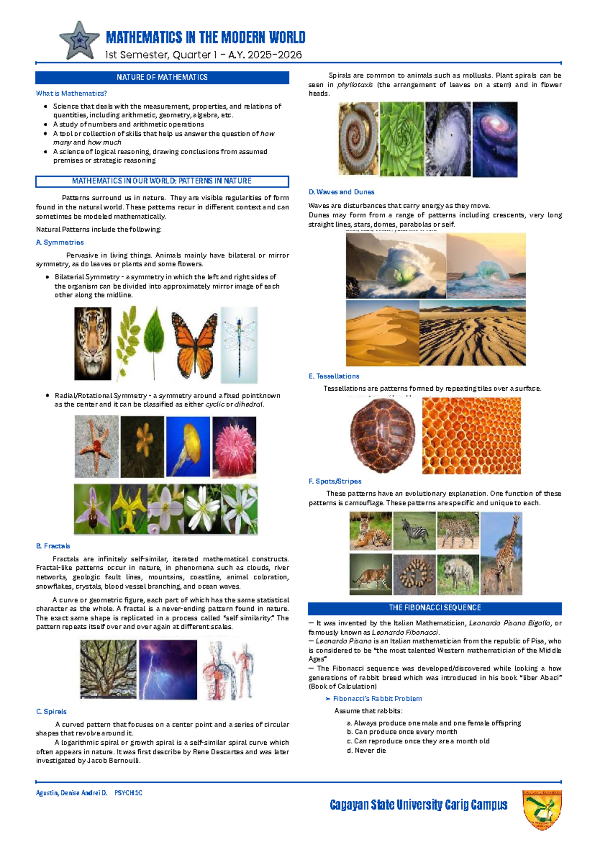 MMW- Prelims - Lecture Notes on Mathematics in Nature and Patterns ...