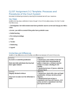 CJ 207 Project One: Understanding the Court System and Its Functions ...
