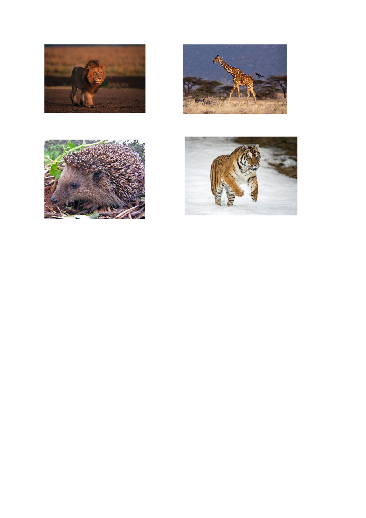 Pictures for research - Design and tech - Tilla - Studocu