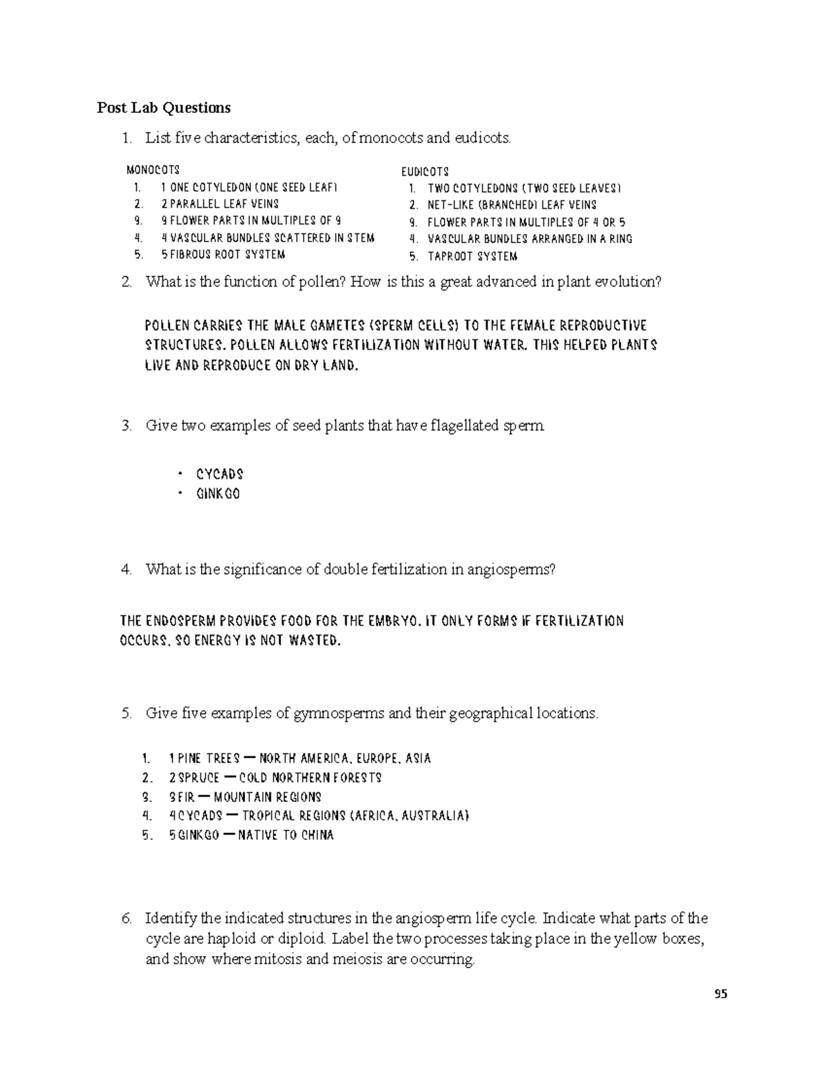 Lab Report: Post Lab Questions on Plant Diversity II (Gymnosperms ...