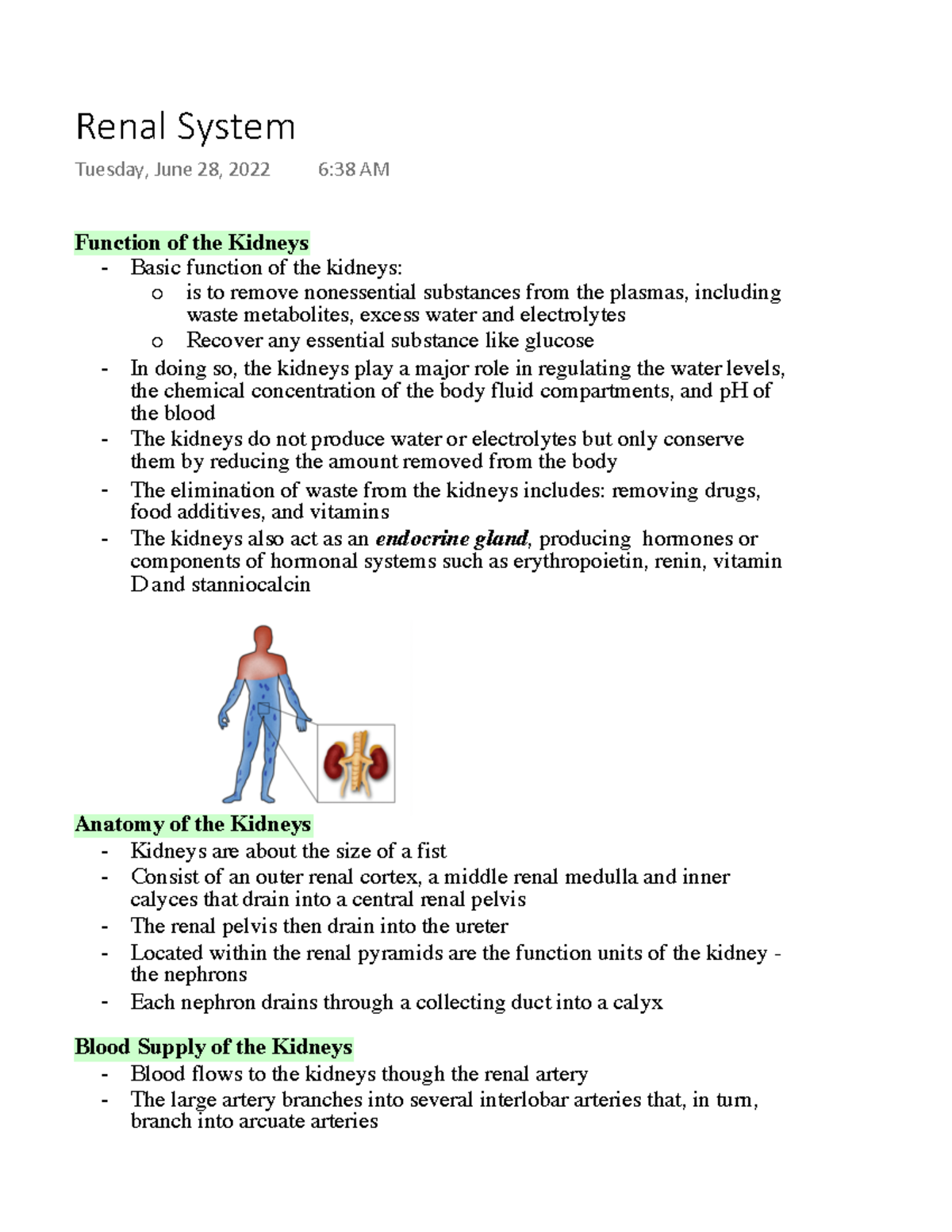 Physiology 2130 - Renal System - Function of the Kidneys Basic function ...