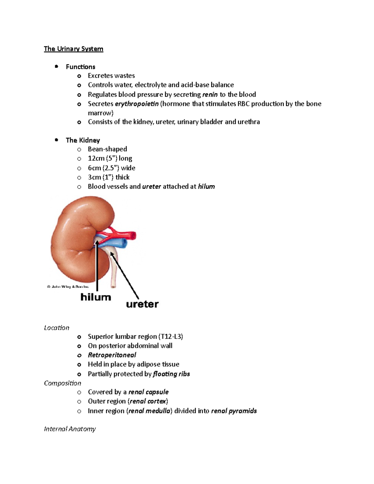 Urinary System - final exam review - The Urinary System Functions o ...
