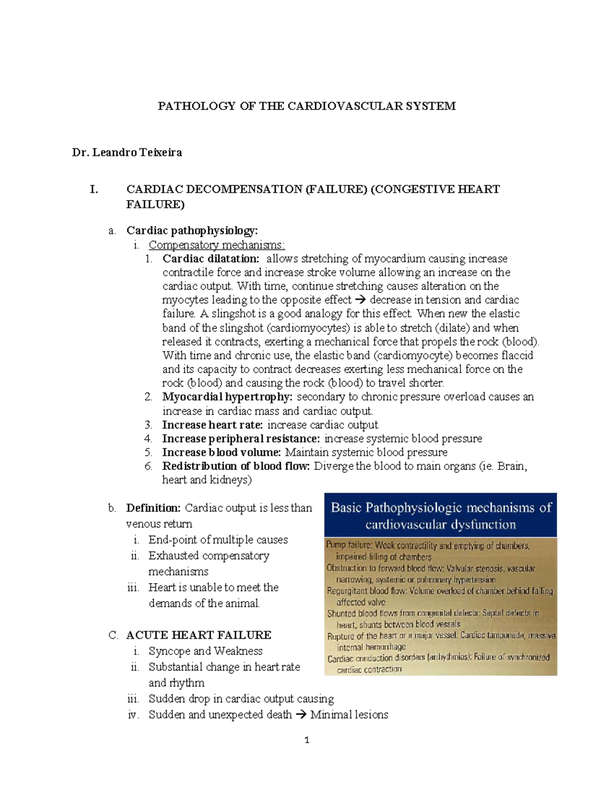 Pathology of Cardiovascular Diseases in Dogs & Large Animals (VET 101 ...
