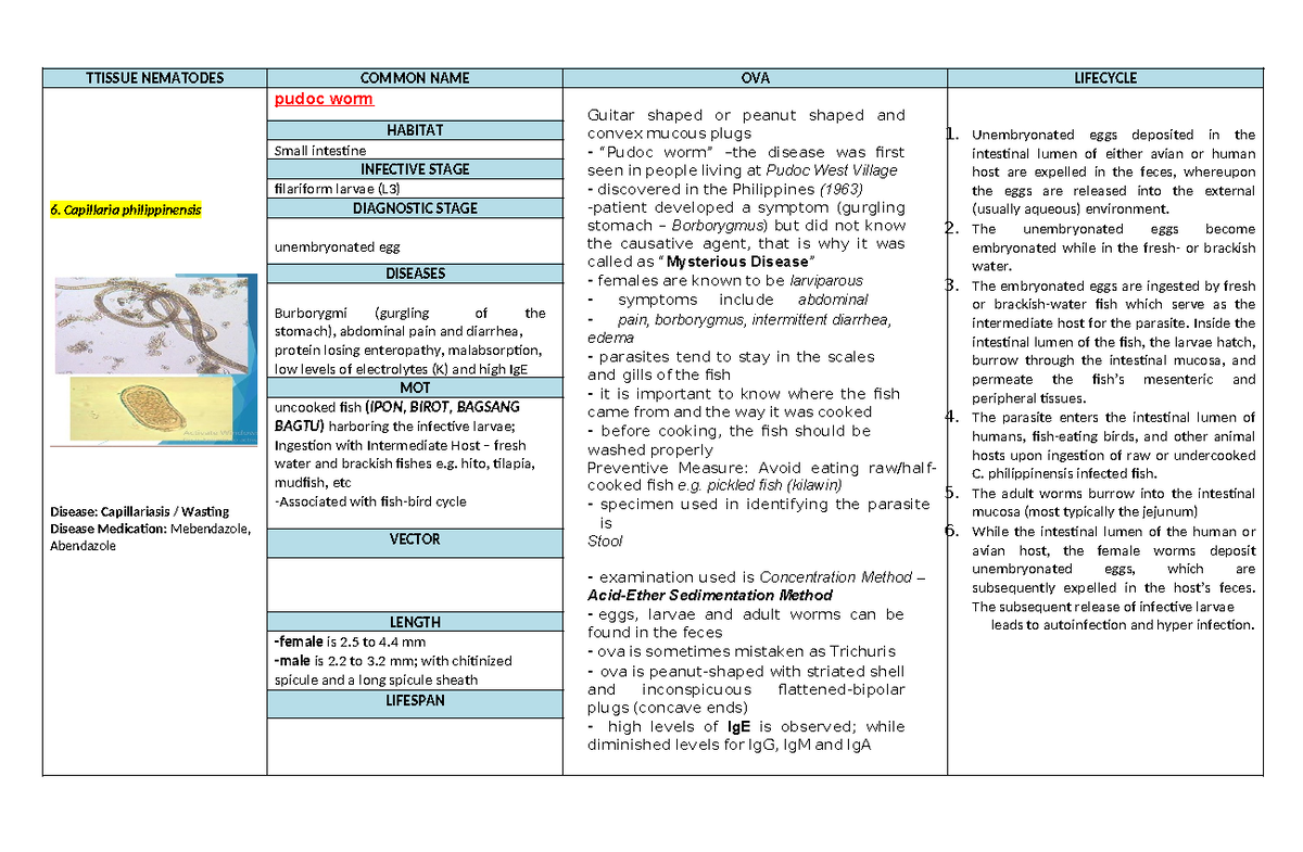 6. Capillaria philippinensis: Understanding Tissue Nematodes and ...