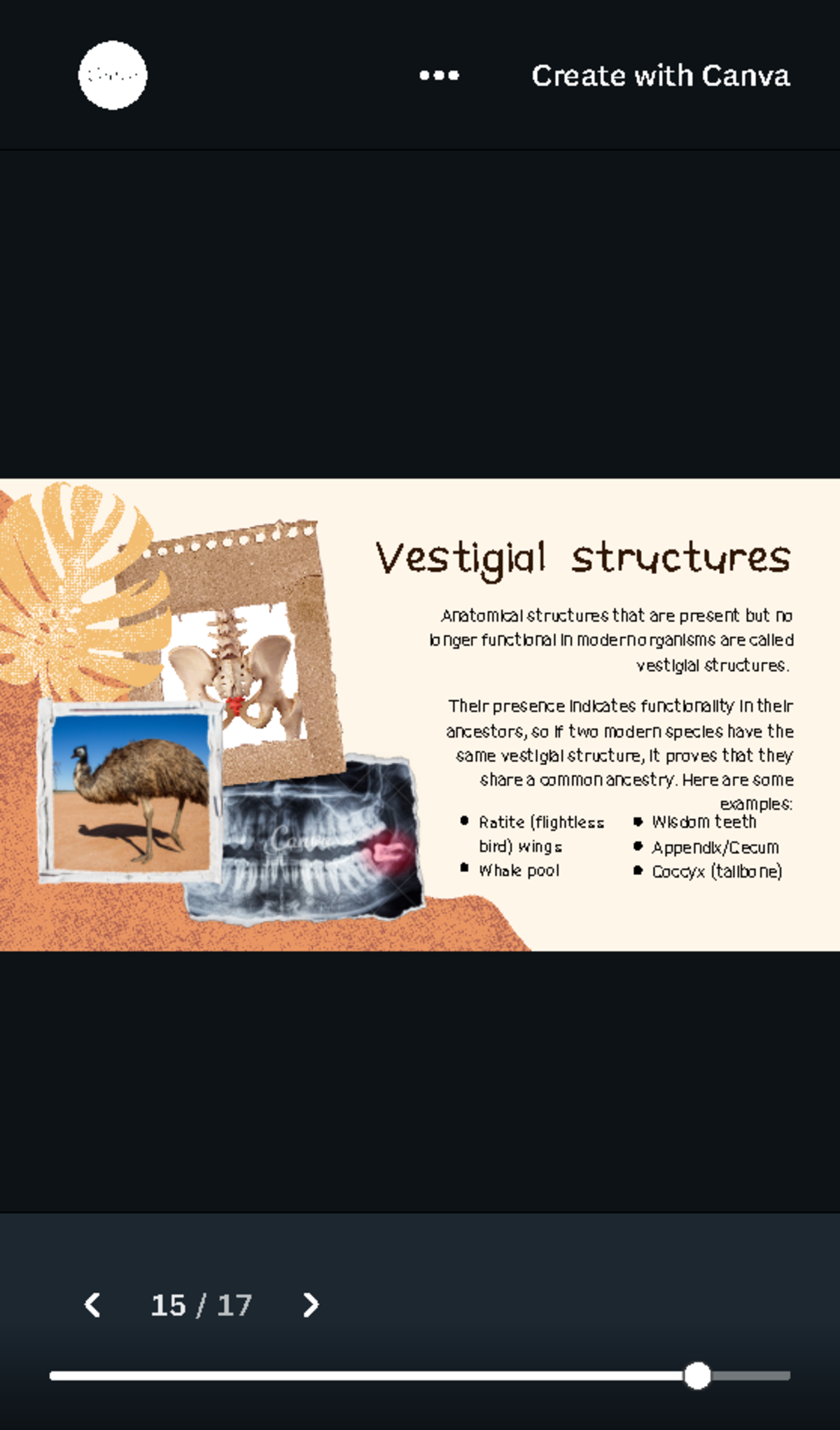 Vestigial Structures in Modern Organisms: Examples and Significance ...