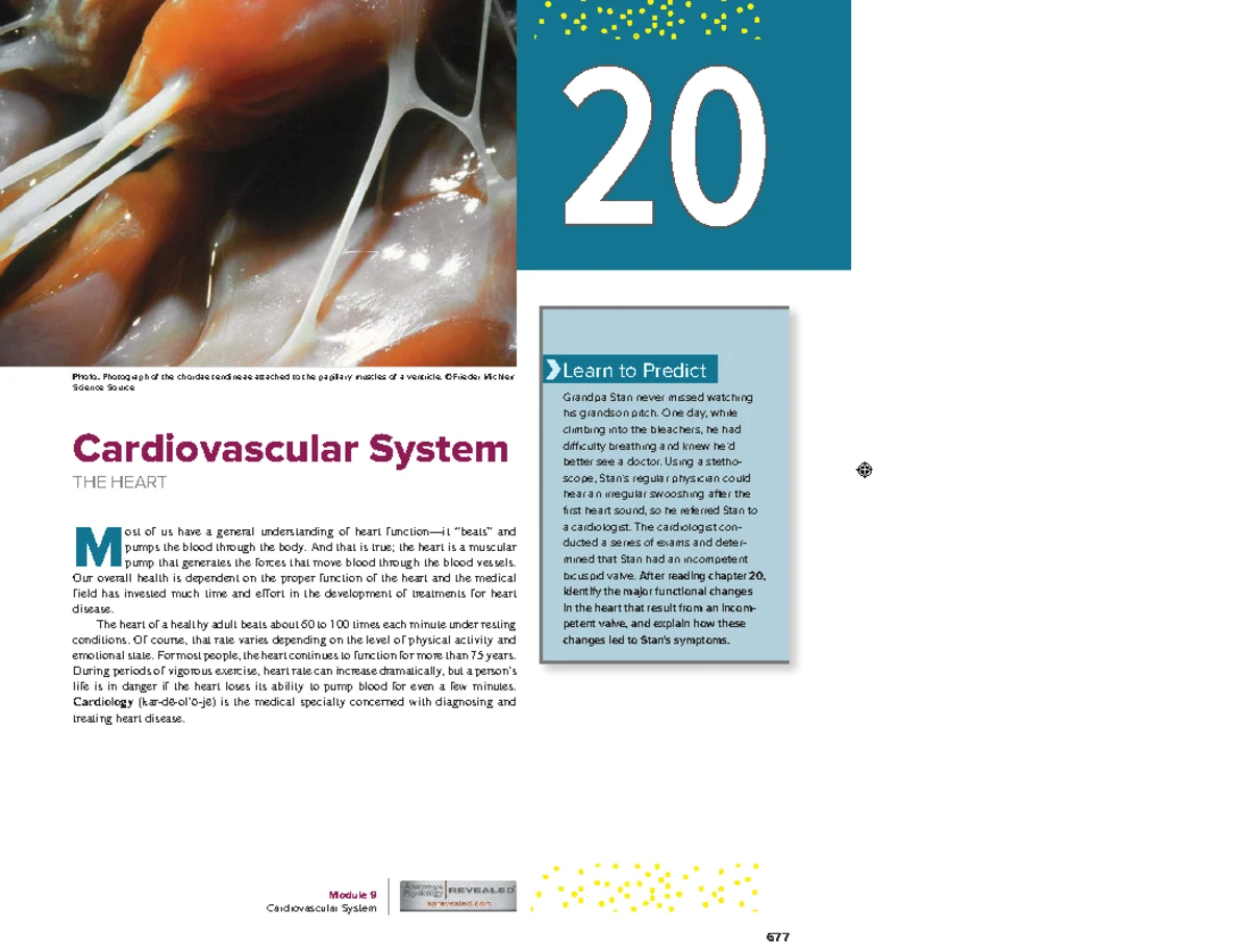 BIOL 101: Comprehensive Overview of Tissue Types and Functions - Studocu