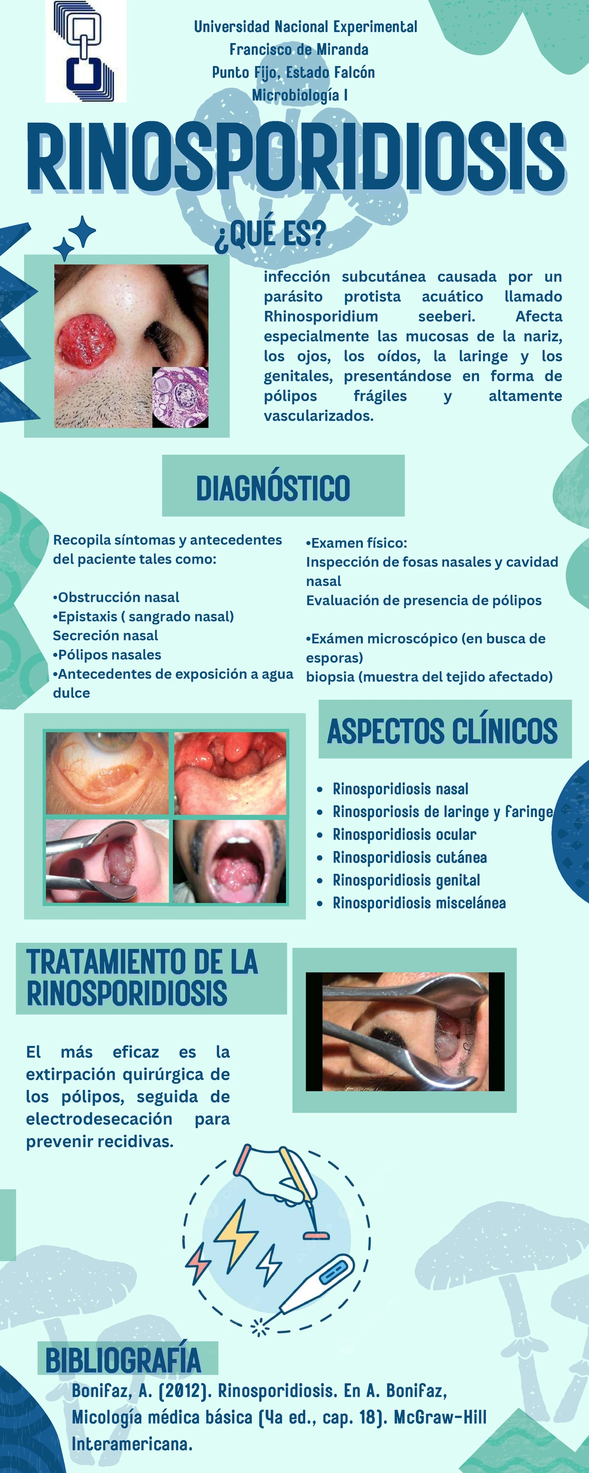 Escala de Glogau: Evaluación del Envejecimiento de la Piel - Studocu