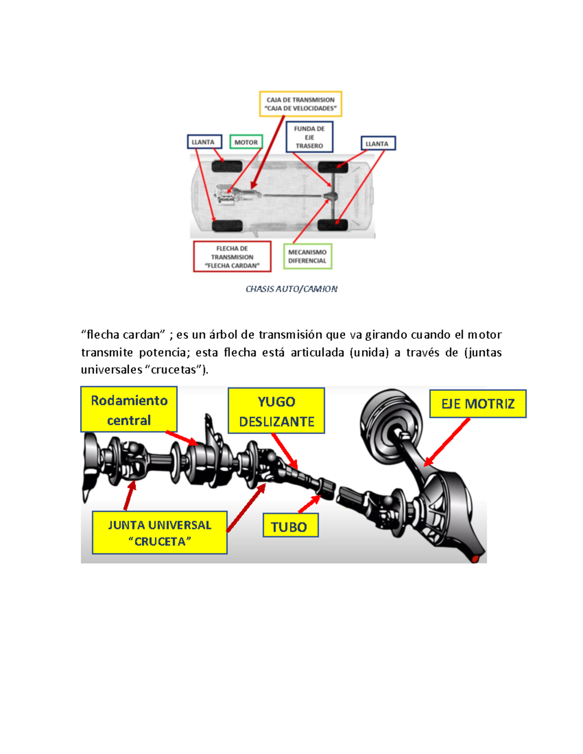 Práctica de Alineación del Cardán: Verificación y Cálculos - Studocu