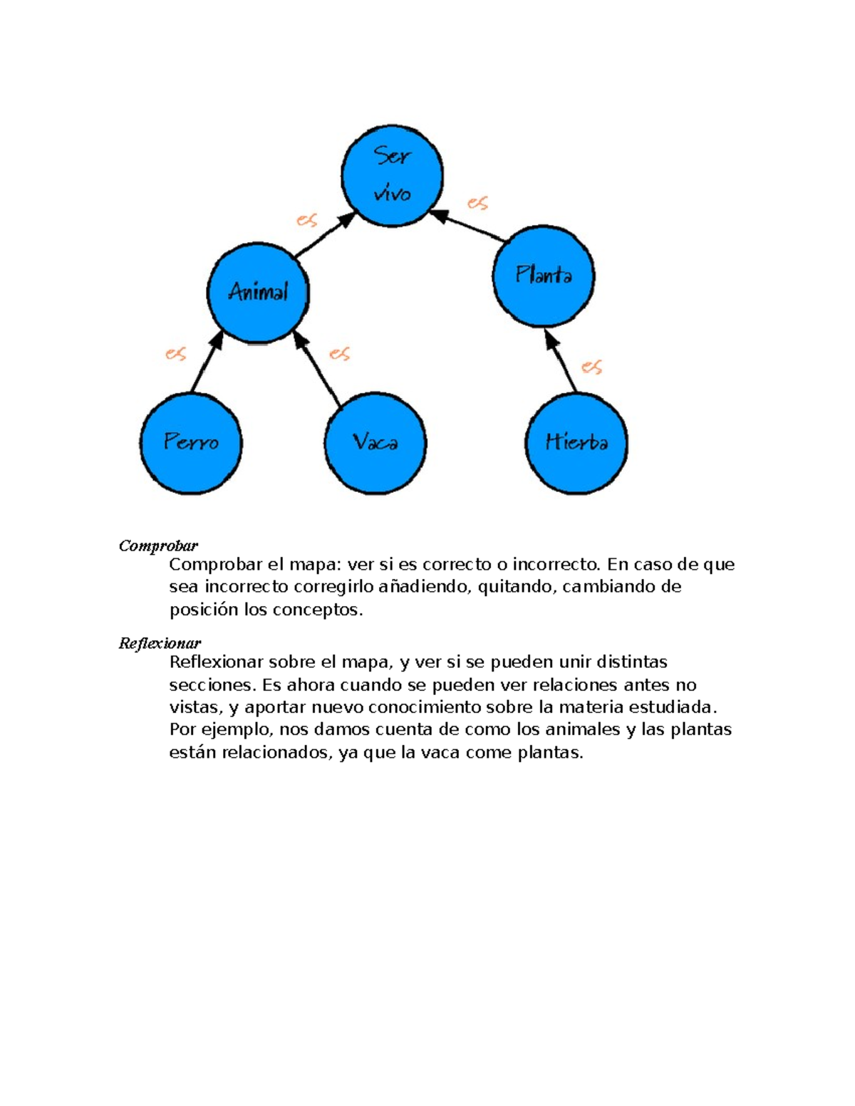Mapa Conceptual: Tipos y Reflexiones sobre Relaciones - Studocu