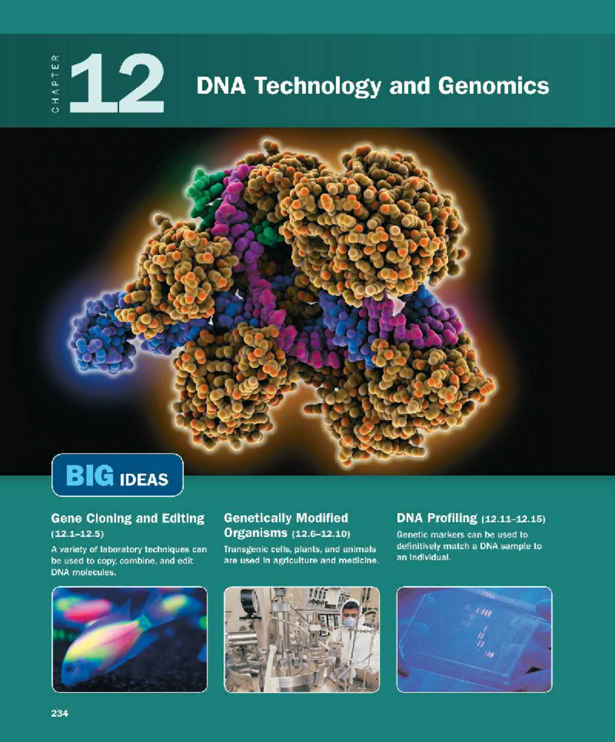 DNA Technology and Its Life-Saving Applications in DMD (BIO 12.0) - Studocu