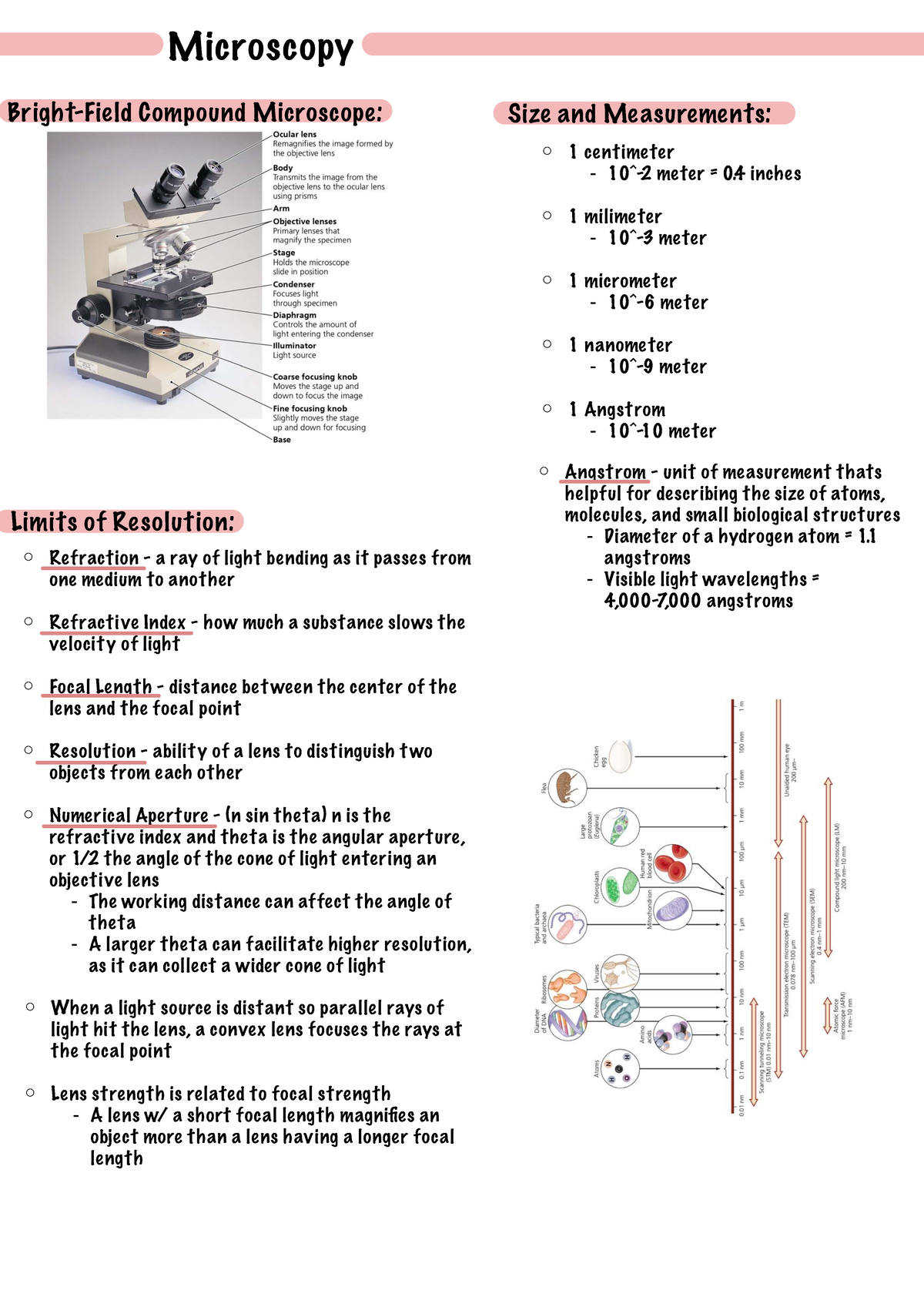 Microscopy Techniques and Measurements Overview (Bio 101) - Studocu