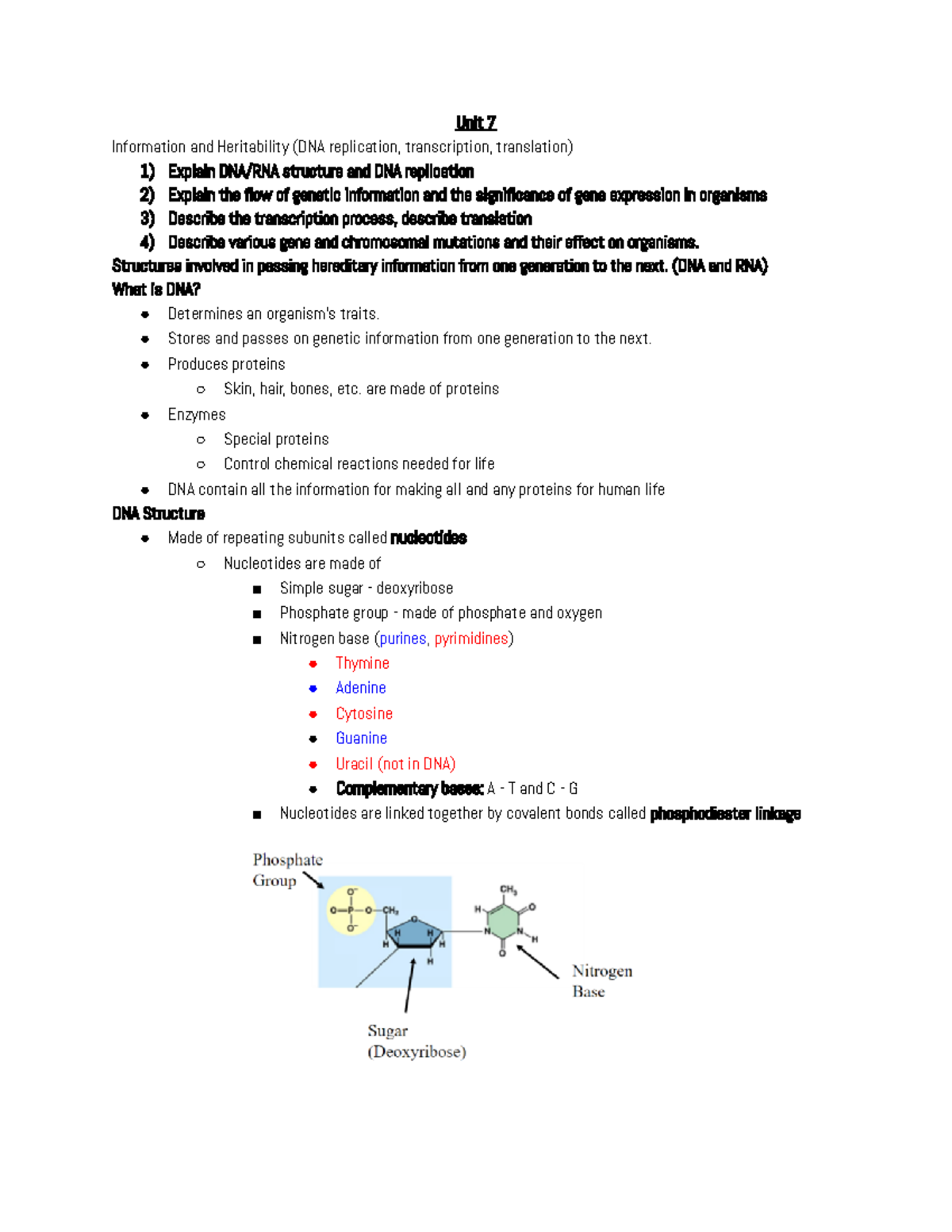 Unit7BiologyNotes - Unit 7 Information and Heritability (DNA ...