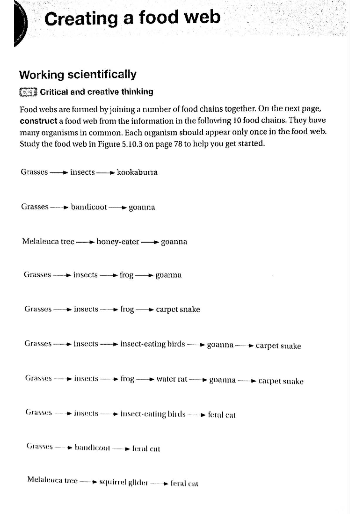 2.3 creating a food web - food tech prac - Creating a food web Working ...