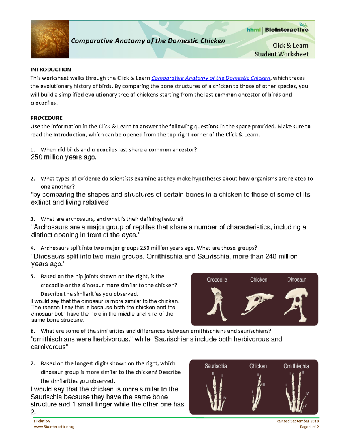 Science 8: Comparative Anatomy and Evolution of Chicken Bones - Studocu