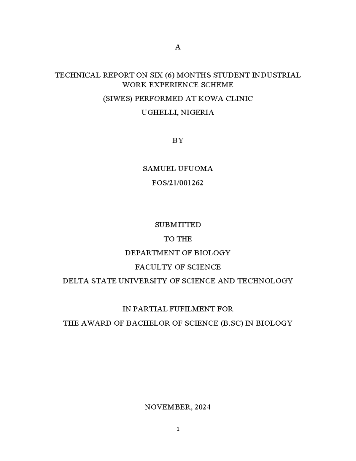 Ufuoma Correct NEW - IT report - A TECHNICAL REPORT ON SIX (6) MONTHS ...