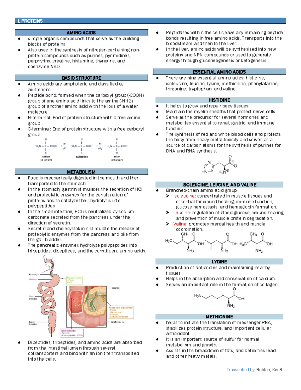 CCHM321 Proteins - I. PROTEINS AMINO ACIDS simple organic compounds ...