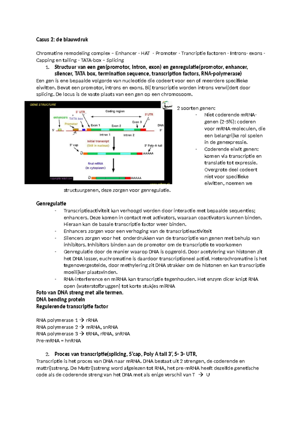 GEN1101 Casus 2: Genregulatie, Transcriptie en Translatie Processen ...