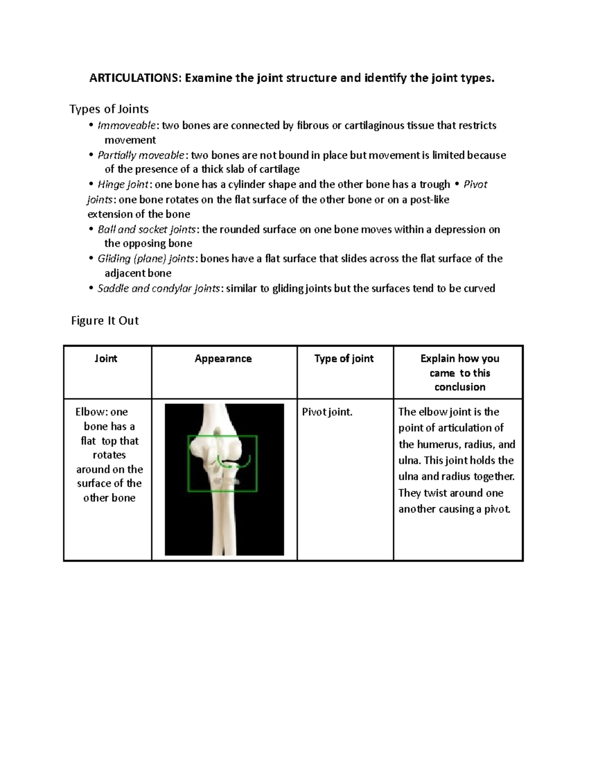 Bone Lab Report - Examining Joint Structures and Types of Joints - Studocu
