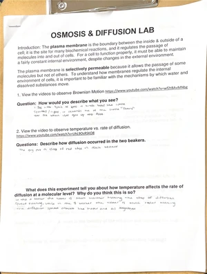Lab 2 Bio 111 - Metric Measurements and Scientific Notation Guide - Studocu