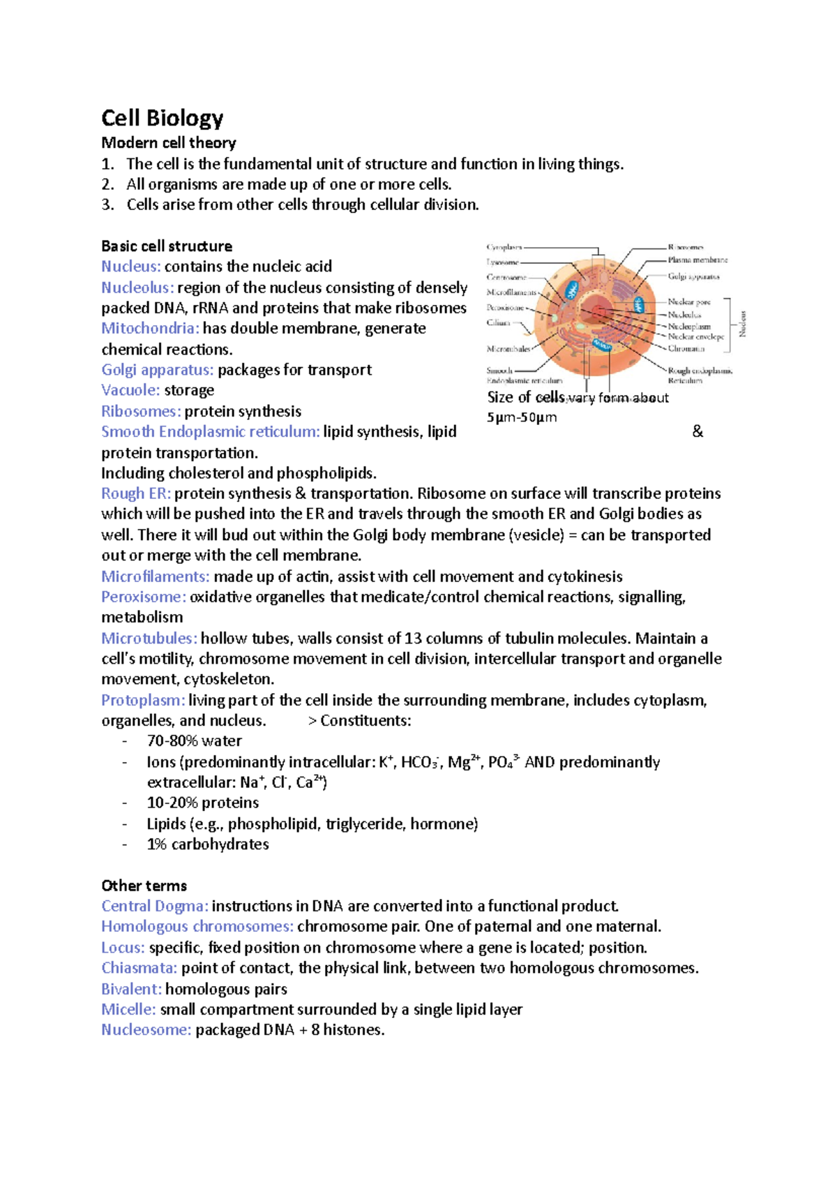 Cell Biology Overview: Structure, Function, and Processes - Studocu