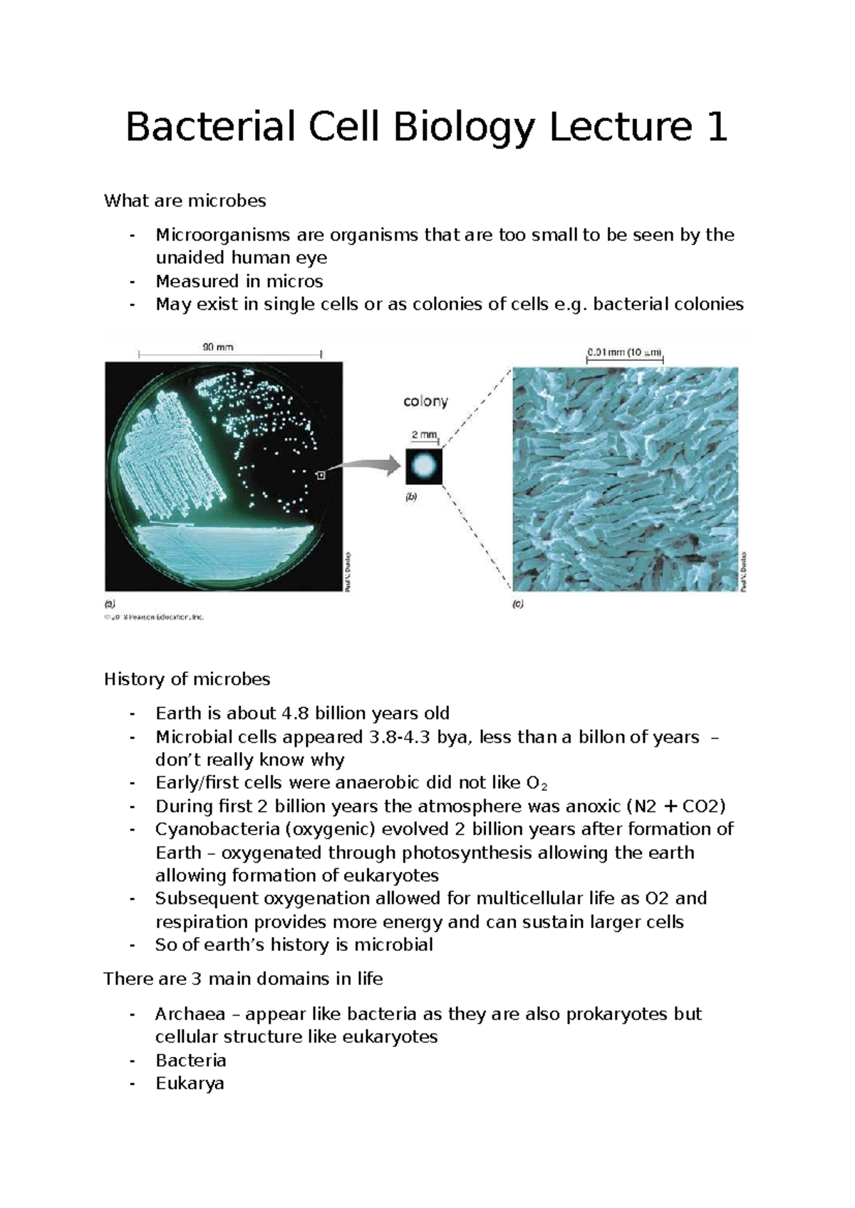 Bacterial Cell Biology Lecture 1: Introduction to Microbes and Their ...