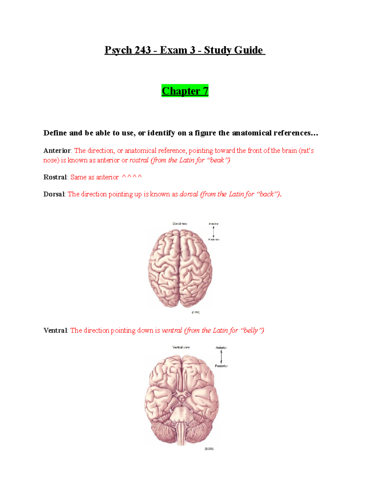 Psych 243 Exam 3 Comprehensive Study Guide with Key Concepts - Studocu