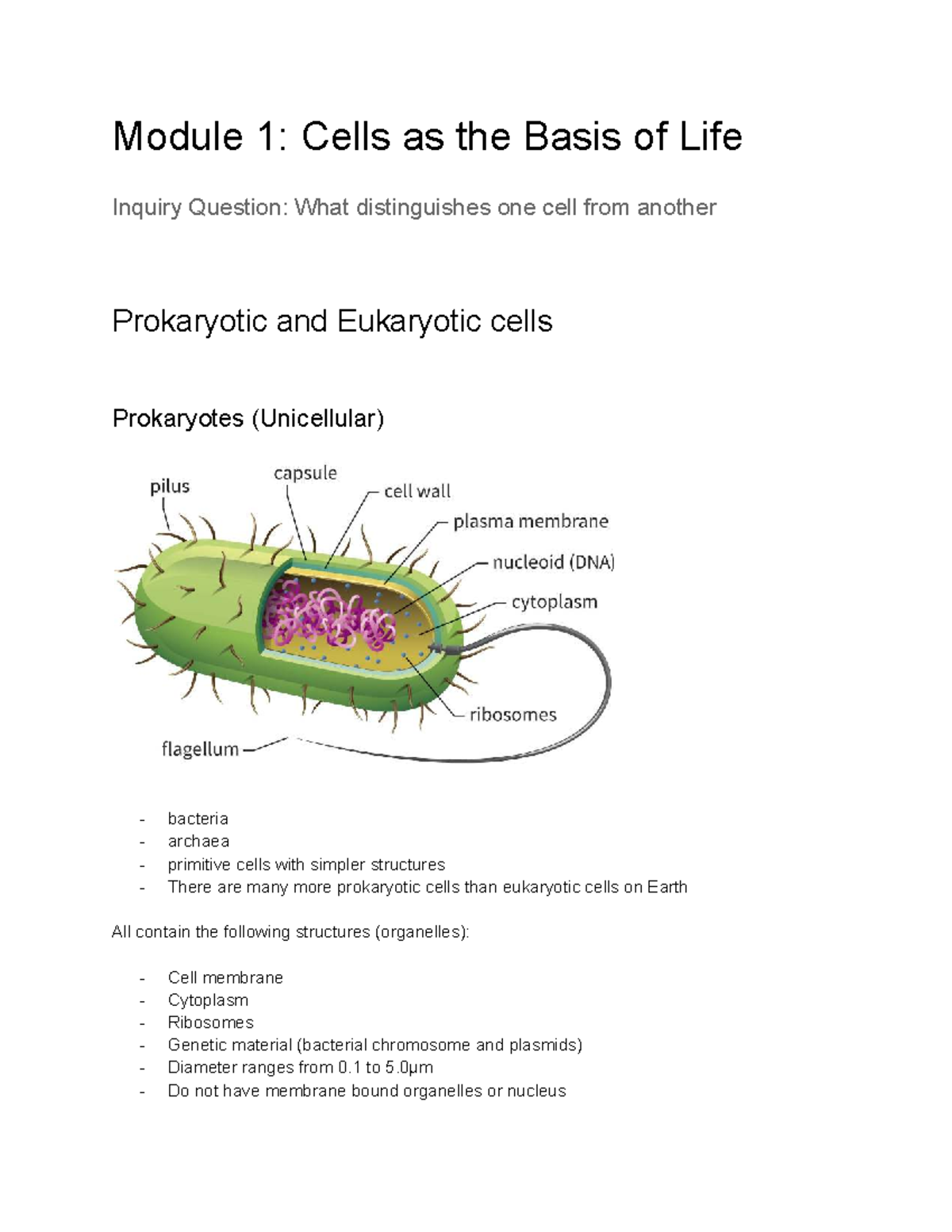 Yr 11 Biology: Module 1 - Cells as the Basis of Life Notes - Studocu