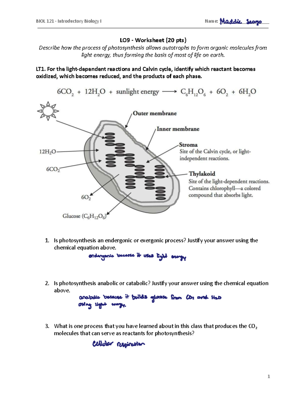 BIOL 121 LO9 - Photosynthesis Processes and Reactions Worksheet - Studocu