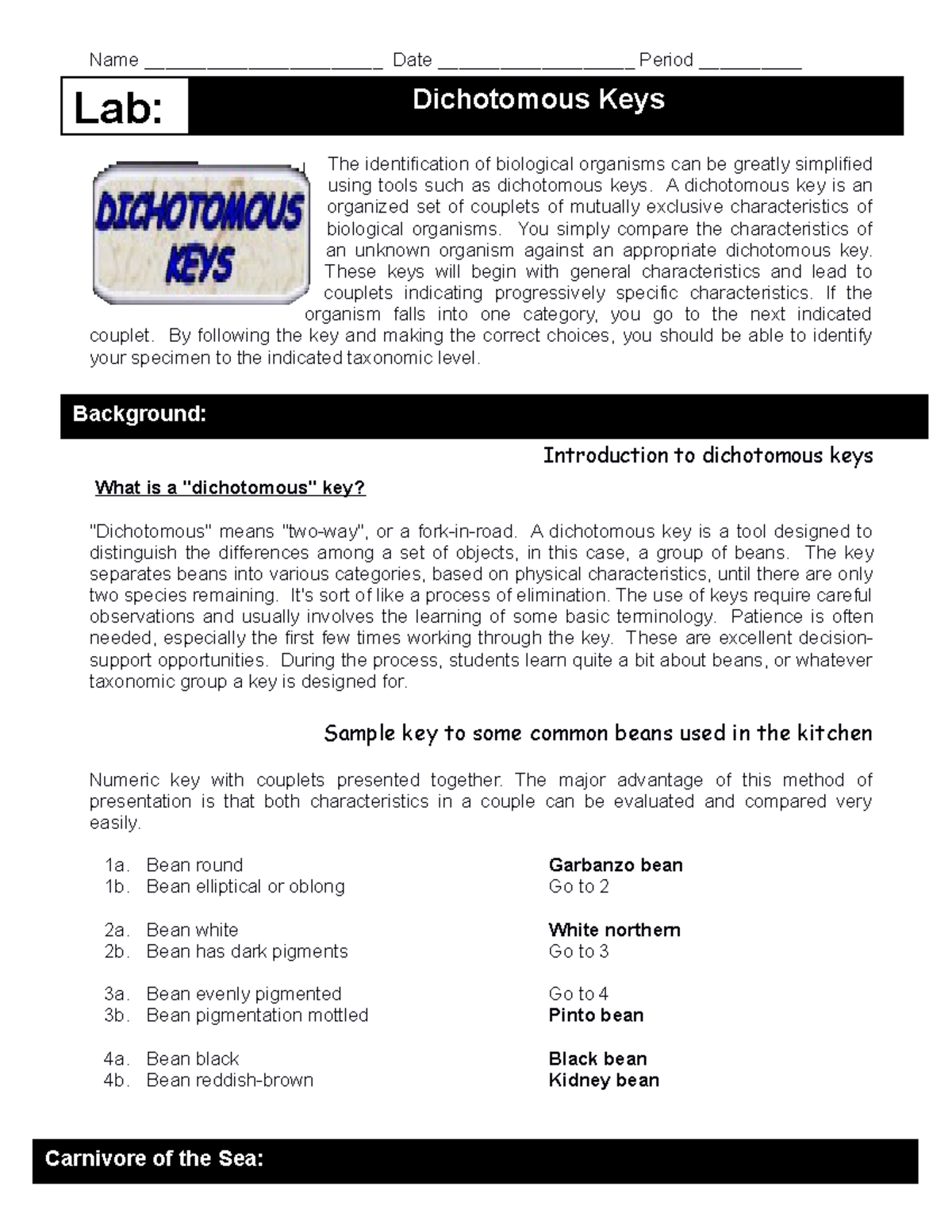 Dichotomous Key Lab: Identifying Organisms Through Characteristics ...