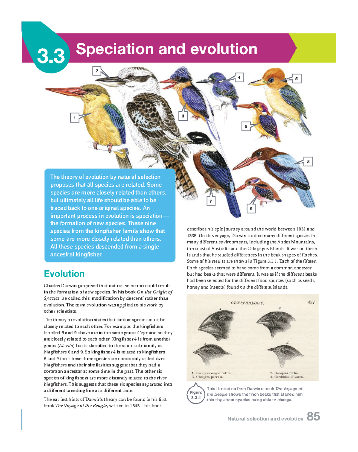Speciation and Evolution: Understanding Natural Selection and ...