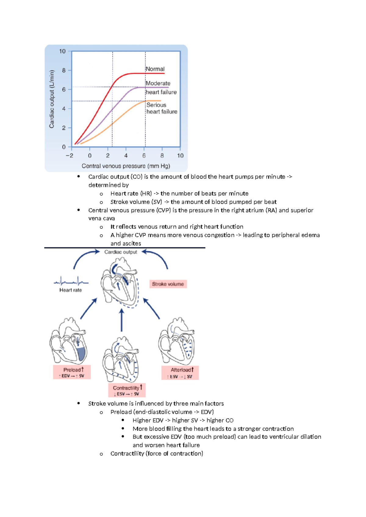 Lecture on Molecular Mechanisms of Cardiac Function and Failure ...