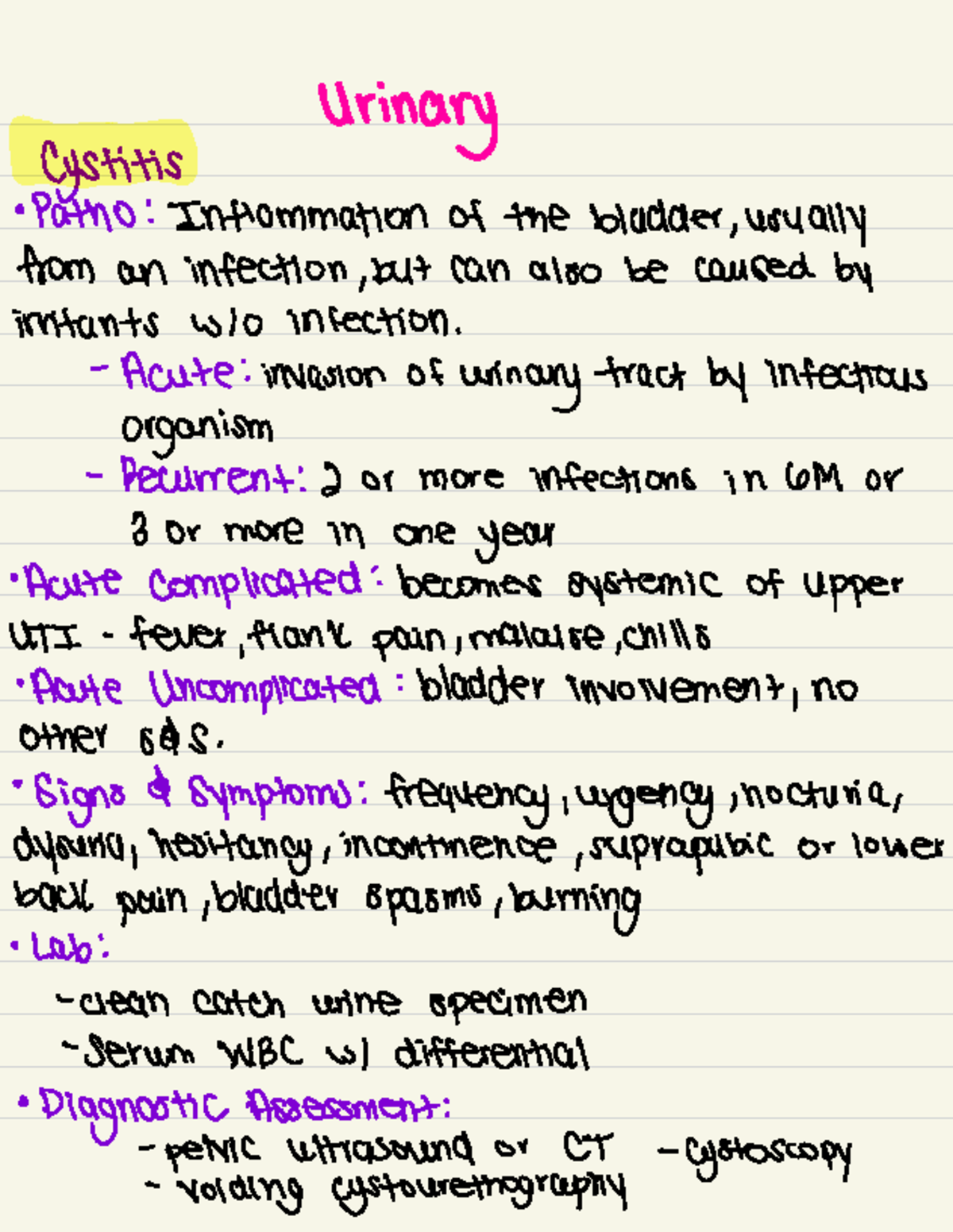 UrinaryNotes - Medsurg - Urinary cystitis Path 0 : Inflammation of the ...