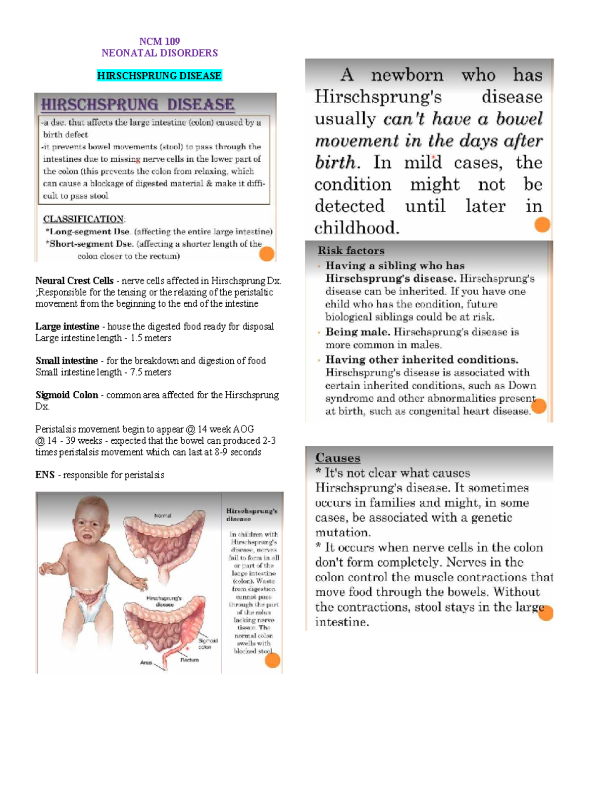 NCM 109 Final Exam Notes: Neonatal Disorders & Spina Bifida - Studocu