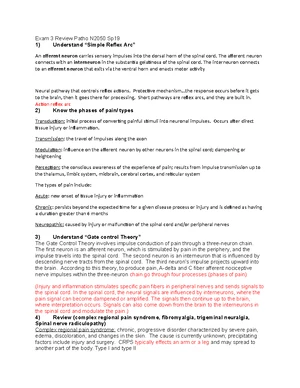 Patho 202 Exam 2 Study Guide: Cardiovascular System Focus Review - Studocu
