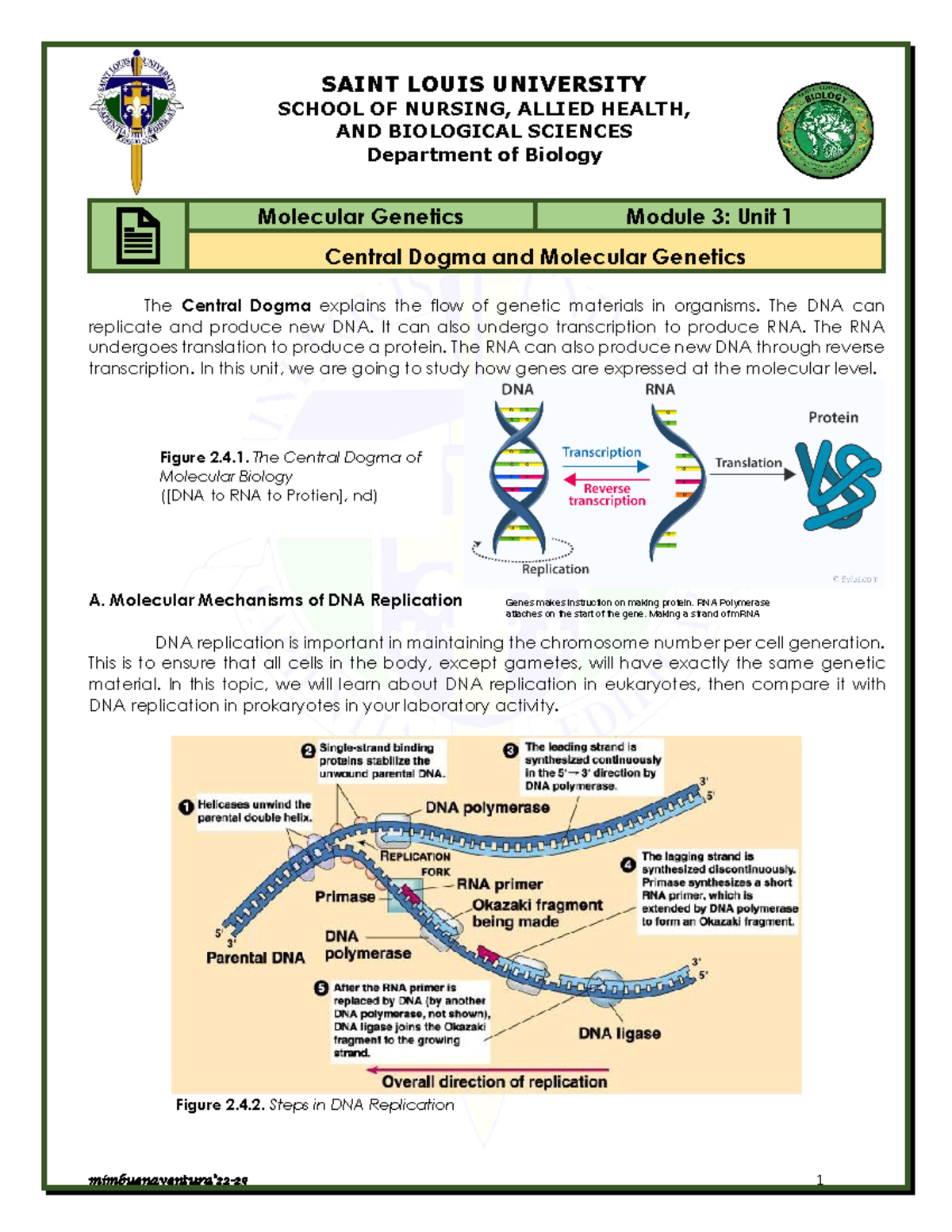 Molecular Genetics Module 3: Unit 1 - Understanding the Central Dogma ...