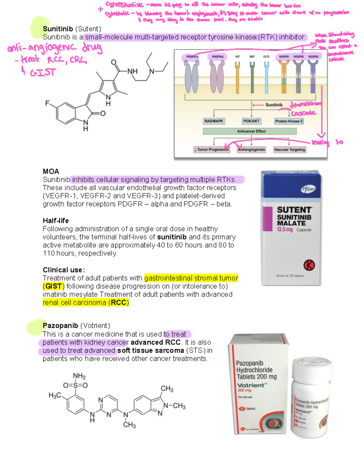 Drugs and Mechanisms in Cancer Treatment: Overview and Toxicities ...