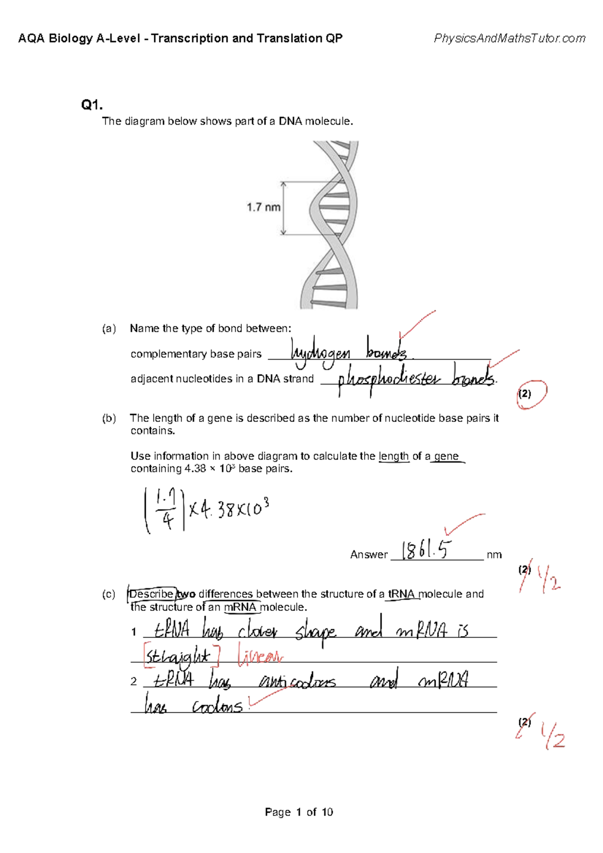 AQA Biology 4.2 Transcription and Translation QP Study Guide - Studocu