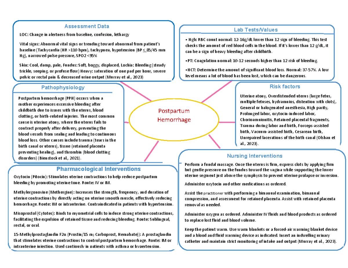 Postpartum Hemorrhage Concept Map: Assessment & Interventions (NURS 101 ...