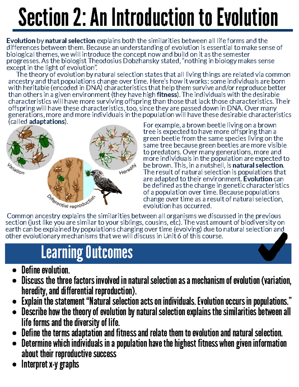 Understanding Evolution: Natural Selection in Biology (BIO 101) - Studocu